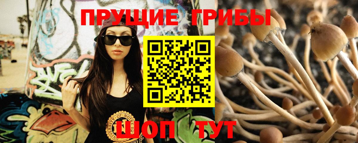 Галлюциногенные грибы Cubensis  Вход с VPN  Фурманов 